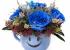 Cana Smiley trandafiri albastri