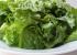 Salata verde (150 g)